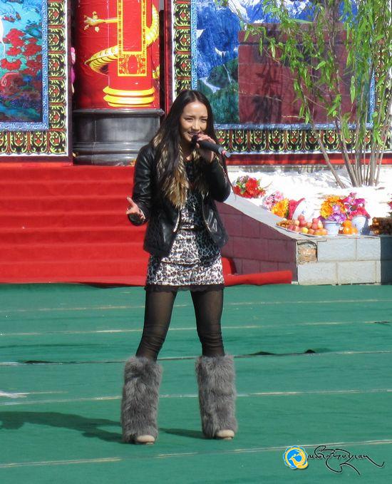 འབའ་རྫོང་གིས་བོད་རབ་བྱུང17པའི་ཆུ་ཕོ་འབྲུག་ལོའི་ལོ་སར་སྤྲོ་ཚོགས་བསྡུས་པ།