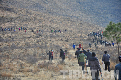 ཉིང་ཁྲི་རྫོང་གིས་ལྗང་མདོག་གི་སྐྱེ་ཁམས་འཛུགས་སྐྲུན་ལ་བརྩོན་བཞིན་པ།