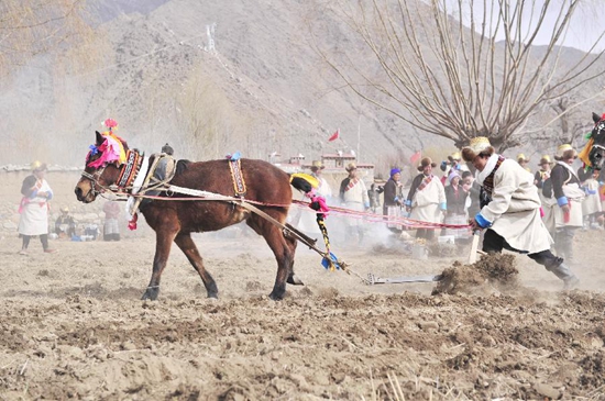 ལྷ་སའི་ཆུ་ཤུར་རྫོང་གི་བོད་རིགས་མང་ཚོགས་ཀྱིས་ཞིང་རྨོ་འགོ་བརྩམས་པ།
