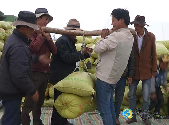 འབའ་རྫོང་ཡོ་འབྲིང་སྡེ་བའི་ཞིང་ཕྱུག་ཆེད་ལས་མཉམ་ལས་ཁང་གི་འཁོར་སྐྱོད་ལེགས་པ།