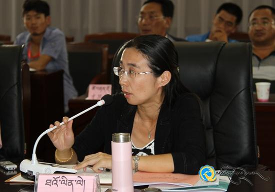 བོད་ཡིག་འཚོལ་བཤེར་མ་ལག་དང་རིག་སྟོབས་ཆ་འཕྲིན་བསྒྱུར་ལས་བགྲོ་གླེང་ཚོགས་འདུ་བསྡུས་པ།