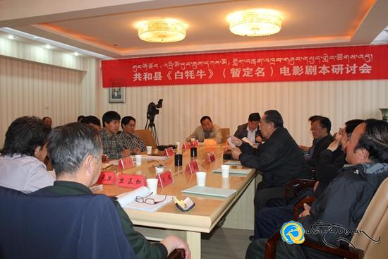 《འབྲི་མོ་དུང་ཆུང་དཀར་མོ》གློག་བརྙན་འཁྲབ་གཞུང་གི་དཔྱད་གླེང་ཚོགས་འདུ་བསྡུས།