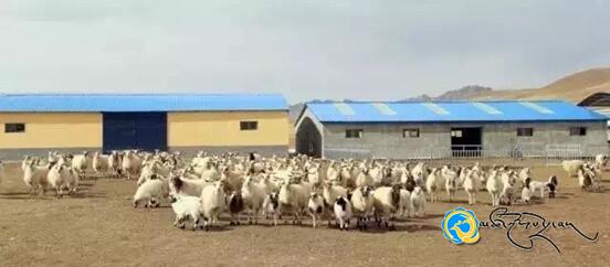 མེ་ཏོག་སྐྱེ་ཁམས་ཕྱུགས་ལས་མཉམ་ལས་ཁང་གིས་མང་ཚོགས་ཀྱི་ཡོང་སྒོ་མཐོ་རུ་གཏོང་བར་སྐུལ་འདེད་བྱས་པ།