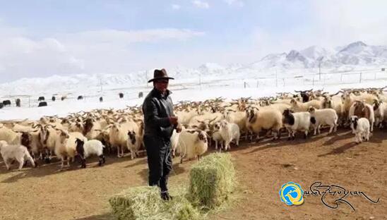 མེ་ཏོག་སྐྱེ་ཁམས་ཕྱུགས་ལས་མཉམ་ལས་ཁང་གིས་མང་ཚོགས་ཀྱི་ཡོང་སྒོ་མཐོ་རུ་གཏོང་བར་སྐུལ་འདེད་བྱས་པ།