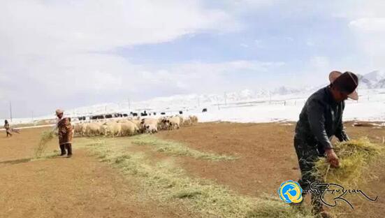 མེ་ཏོག་སྐྱེ་ཁམས་ཕྱུགས་ལས་མཉམ་ལས་ཁང་གིས་མང་ཚོགས་ཀྱི་ཡོང་སྒོ་མཐོ་རུ་གཏོང་བར་སྐུལ་འདེད་བྱས་པ།