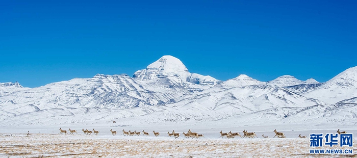 བོད་ལྗོངས་ཇོ་མོ་གླང་མའི་པར་རིས་འགྲེམ་སྟོན་སྐབས་བཅུ་བའི་བརྩམས་ཆོས་ཁག་ཅིག
