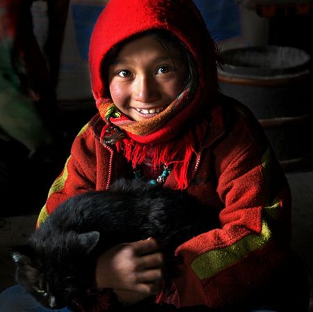 《དྭངས་པའི་མིག་ཟུང》ཞེས་པའི་བརྩམས་ཆོས་ལ་གསེར་གྱི་རྟགས་མ་ཐོབ་པ།