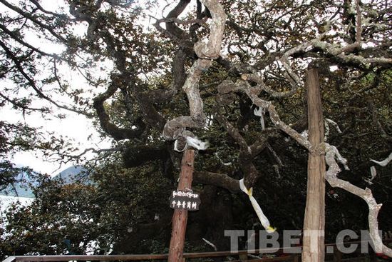 བྲག་གསུམ་མཚོའི་མཚོ་སྙིང་གི་མཚོ་རྫོང་དགོན།