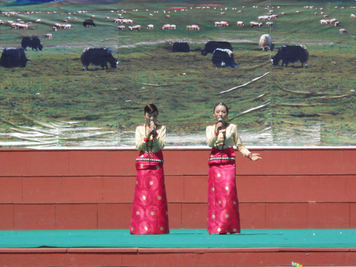 མཚོ་སྔོན་བོད་སྐད་རྒྱང་སྒྲོག་བརྙན་འཕྲིན་གྱི་རིག་རྩལ་སྤྲོ་ཚོགས་ཆེན་མོ《གཡུ་གཞོང་རྐང་ཚ》རྐང་ཚ་རུ་བསྡུས་པ།
