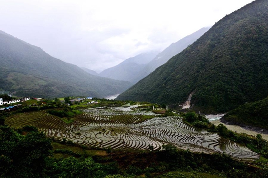 བོད་ལྗོངས་ཉིང་ཁྲི་མེ་ཏོག་རྫོང་གི་མཛེས་ལྗོངས།