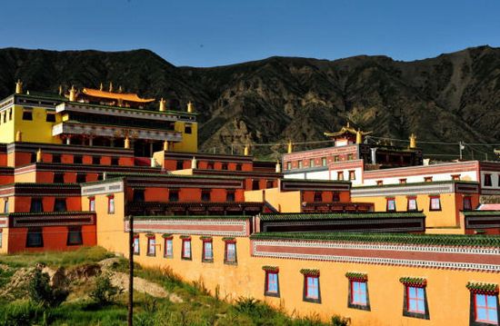 ཐོ་ལེ་དགོན་རྣམ་རྒྱལ་ཕུན་ཚོགས་ཆོས་རྫོང་གླིང་།