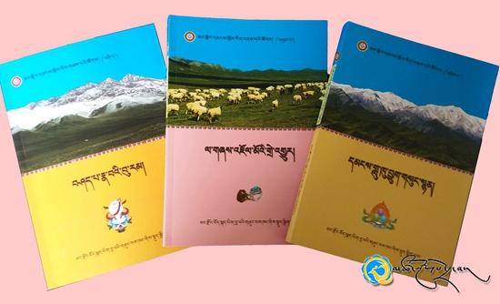 མང་རྫོང་དུ་དམངས་སྲོལ་རིག་གནས་དཔེ་ཚོགས་པར་དུ་བསྐྲུན་པ།