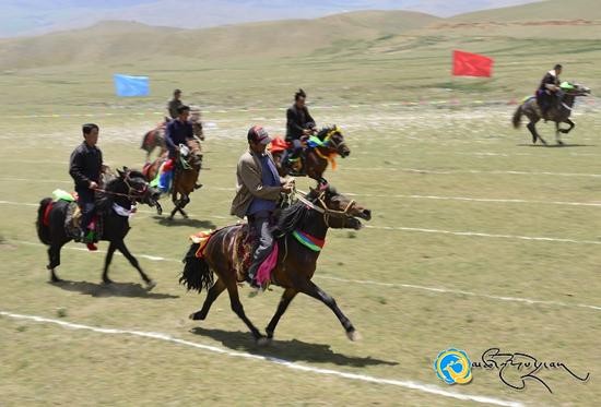 དཔའ་རིས་རྡོ་ལུང་སངས་རྒྱས་སྨན་བླའི་རིག་གནས་སྒྱུ་རྩལ་དུས་ཆེན་སྤེལ་བ།
