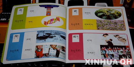 བོད་ཡིག་གི་གྲངས་འཛིན་ཐོན་རྫས་མཚོ་སྔོན་ཚོང་ཚོགས་སུ་བཀྲམ་པ།