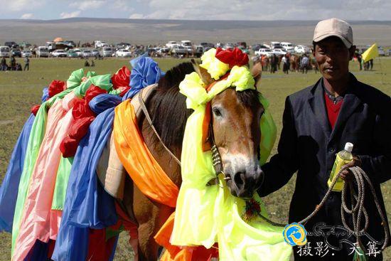 ཐེམ་ཆེན་རྫོང་ཤེས་ཡོན་གྲོང་རྡལ་གྱི་འབྲོག་པ་མང་ཚོགས་ཀྱིས་རྟ་རྒྱུག་འགྲན་ཚོགས་སྤེལ་བ།