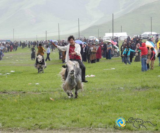 མཚོ་ལྷོའི་འབའ་རྫོང་དུ་སྐབས་དང་པོའི་རྨ་ཆུའི་ནོར་ནག་རིག་གནས་དུས་སྟོན་བསྡུས་པ།