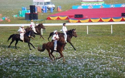 རྟ་གཤིབ་ཀྱི་ཕ་ས་སྟེ་རྨ་ཆུས་མི་འགྱངས་པར་རྟ་རྒྱུག་འགྲན་ཚོགས་སྤེལ་རྒྱུ་རེད།