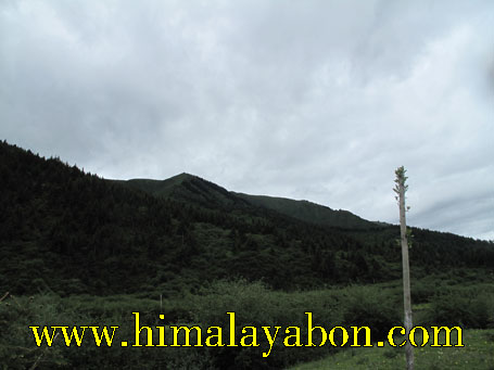 གནས་ཆེན་མཁའ་འགྲོ་འུག་གདོང་ཆེན་མོའི་བཀའ་བློན་དྲག་རྩལ་གནས་བདག་སྟག་པོ།