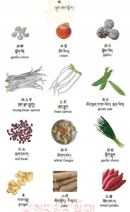 རྒྱ་བོད་དབྱིན་གསུམ་གསར་བྱུང་རྒྱུན་བཀོལ་རིས་འགྲེལ་མིང་མཛོད་ལས་ལྡུམ་ཚལ་གྱི་སྐོར།