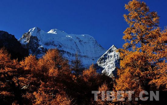 རིགས་གསུམ་མགོན་པོའི་གནས་རི།