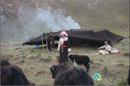 གློག་བརྙན《སྨུག་པ》ཞེས་པ་མི་འགྱངས་པར་འགྲེམ་སྤེལ་བྱེད་རྒྱུ་ཡིན་པ།
