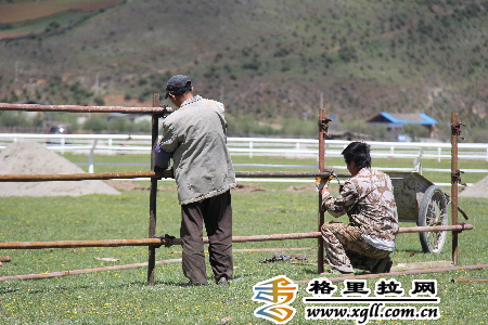 སེམས་ཀྱི་ཉི་ཟླའི་རྟ་རྒྱུག་འགྲན་སྡུར་ཟླ6པའི་ཚེས11ཉིན་སྤེལ་རྒྱུ་རེད།