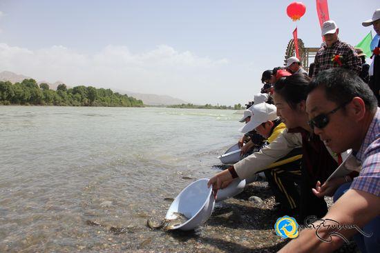གཙང་གསུམ་འབྱུང་ཡུལ་སྐྱེ་ཁམས་སྲུང་སྐྱོབ་དང་བླངས་ཞབས་ཞུ་བྱ་འགུལ་གྱི་འགོ་རྩོམ་མཛད་སྒོ་སྤེལ།